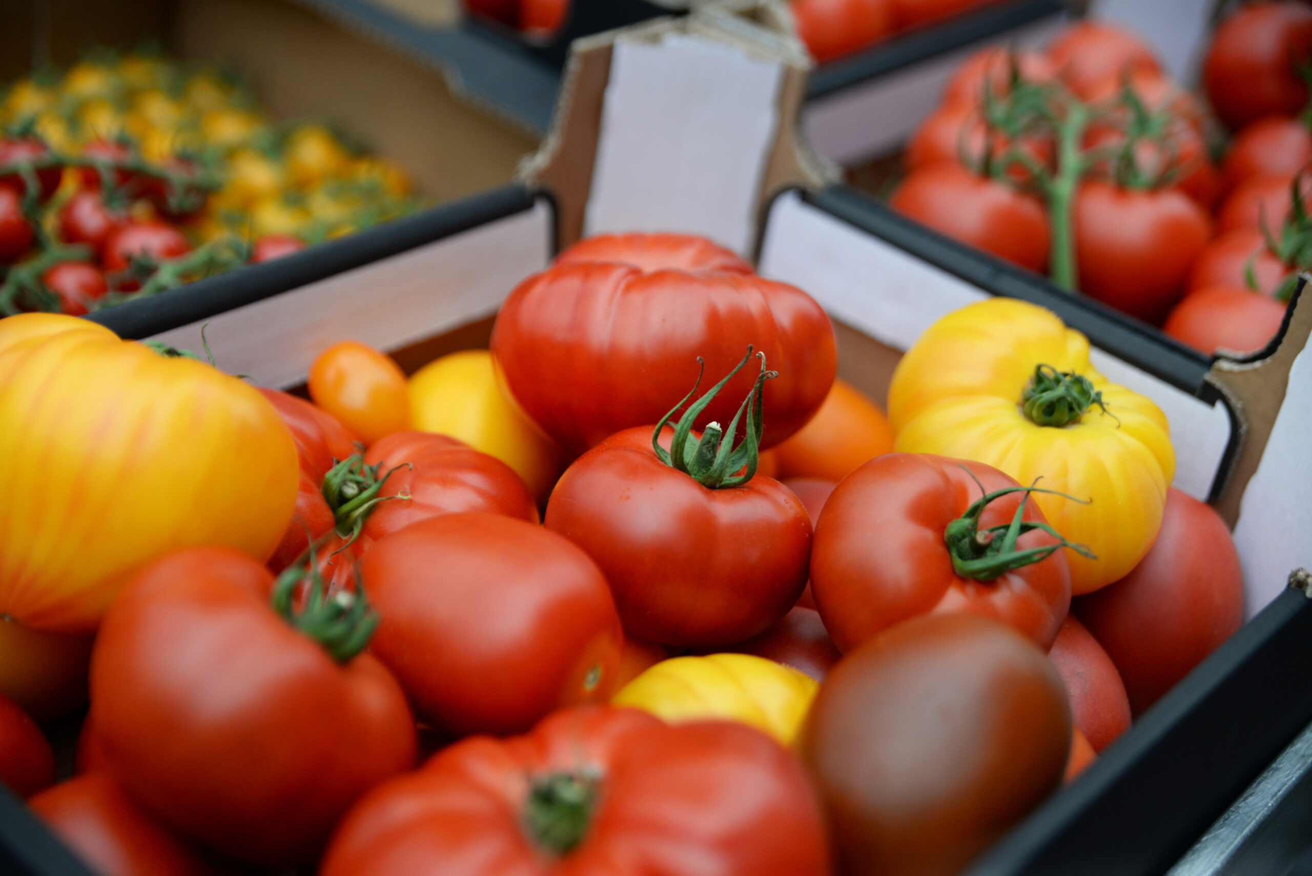 Sustainable packaging for tomatoes