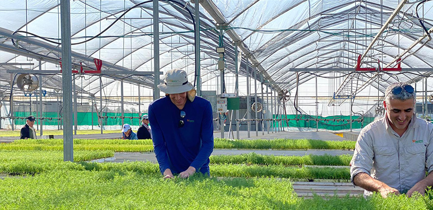 Meet the people behind the crops: Yossi Kuttin