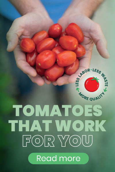 Tomatoes that work for you