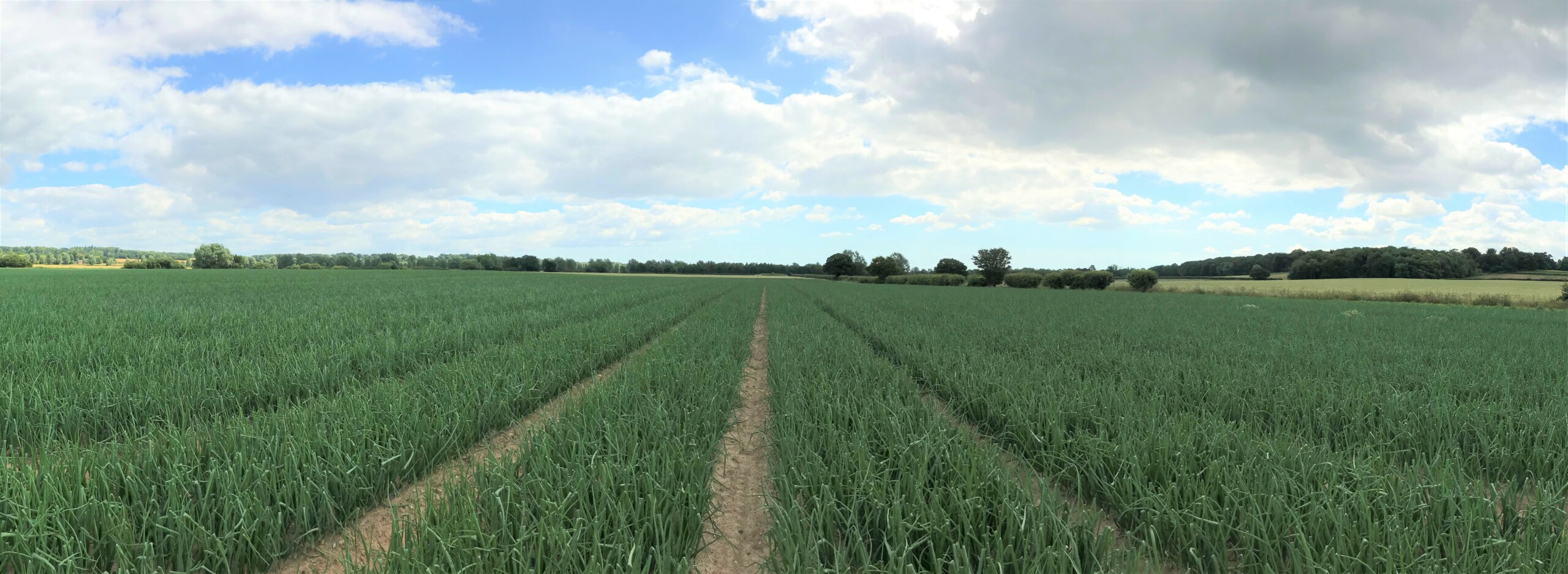 UK team “faces the heat” and develops a Groundbreaking Selection Tool