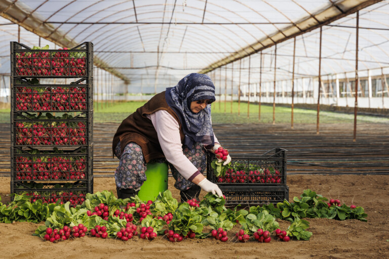 Growing Together with Ümmühan Oğuz